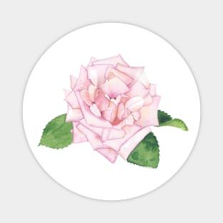 Pink Rose, floral watercolor painting Magnet